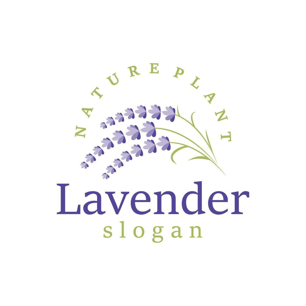 lavande logo élégant violet fleur plante illustration floral ornement conception vecteur