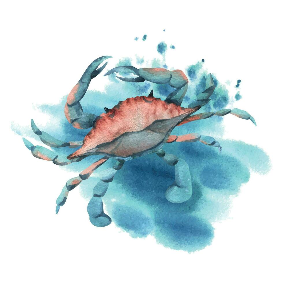 sous-marin monde clipart avec mer animaux, crabe. main tiré aquarelle illustration. isolé composition sur une blanc Contexte. vecteur