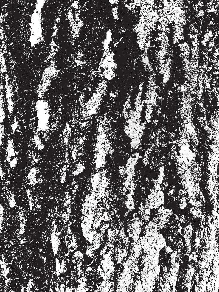 Texture d'écorce d'arbre grunge vecteur