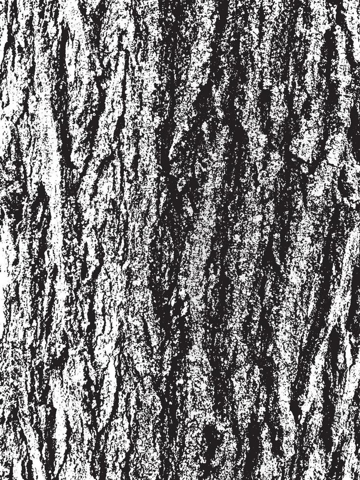 texture d'écorce d'arbre grunge. texture de superposition en détresse. texture vecteur noir et blanc