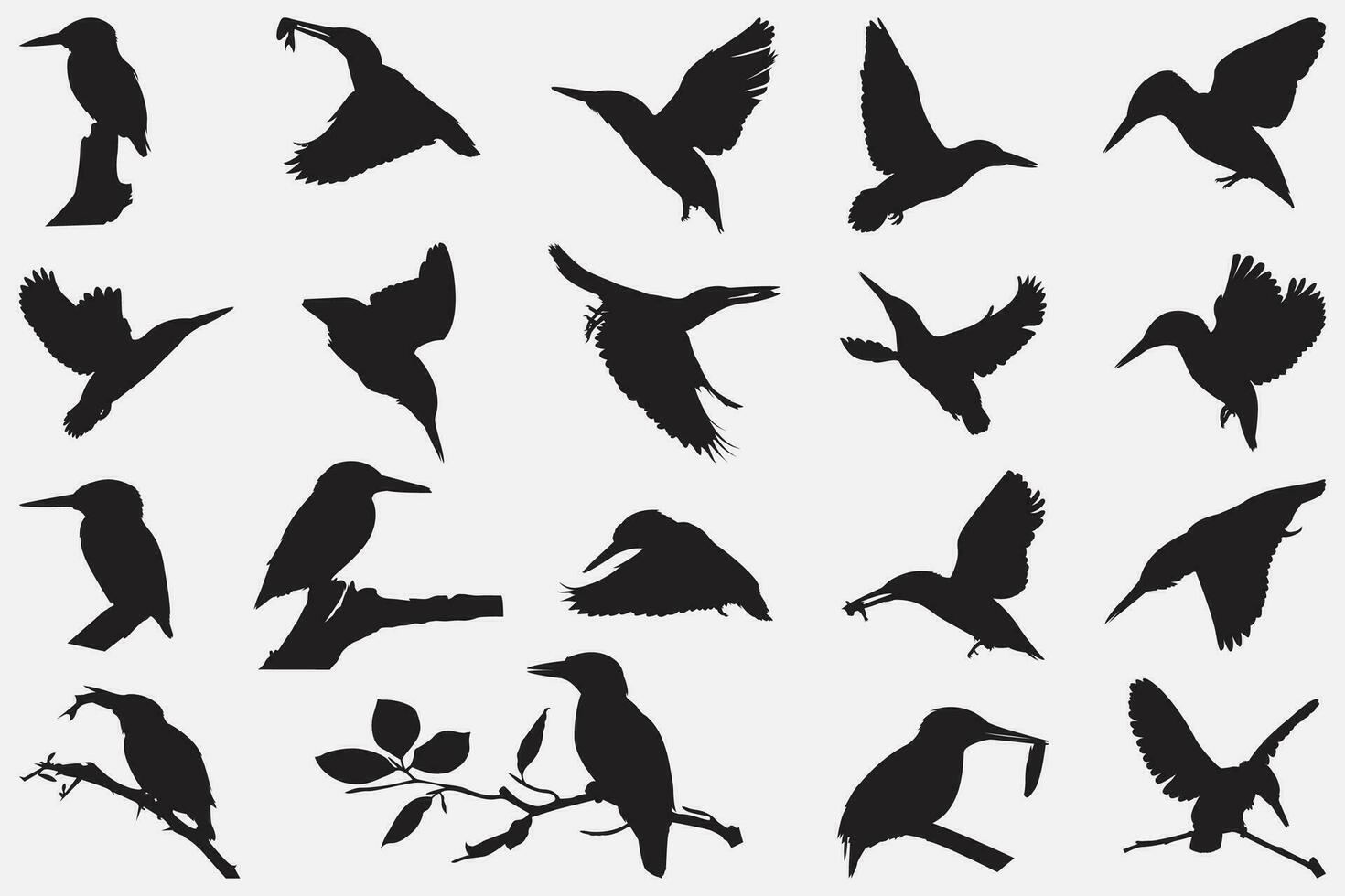 martins-pêcheurs oiseau silhouette vecteur
