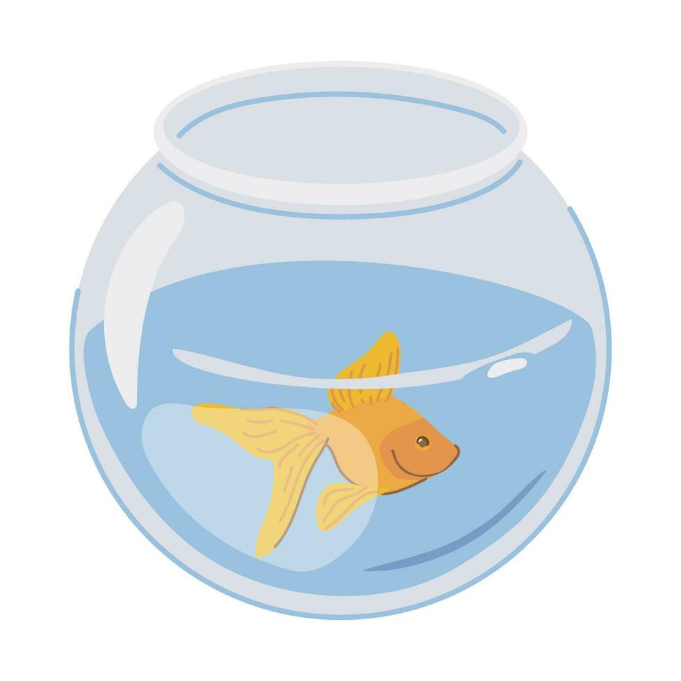 une poisson rouge nage seul dans une rond aquarium. vecteur brillant Orange poisson dans plat style. une animal de compagnie dans bocal sur une blanc Contexte.