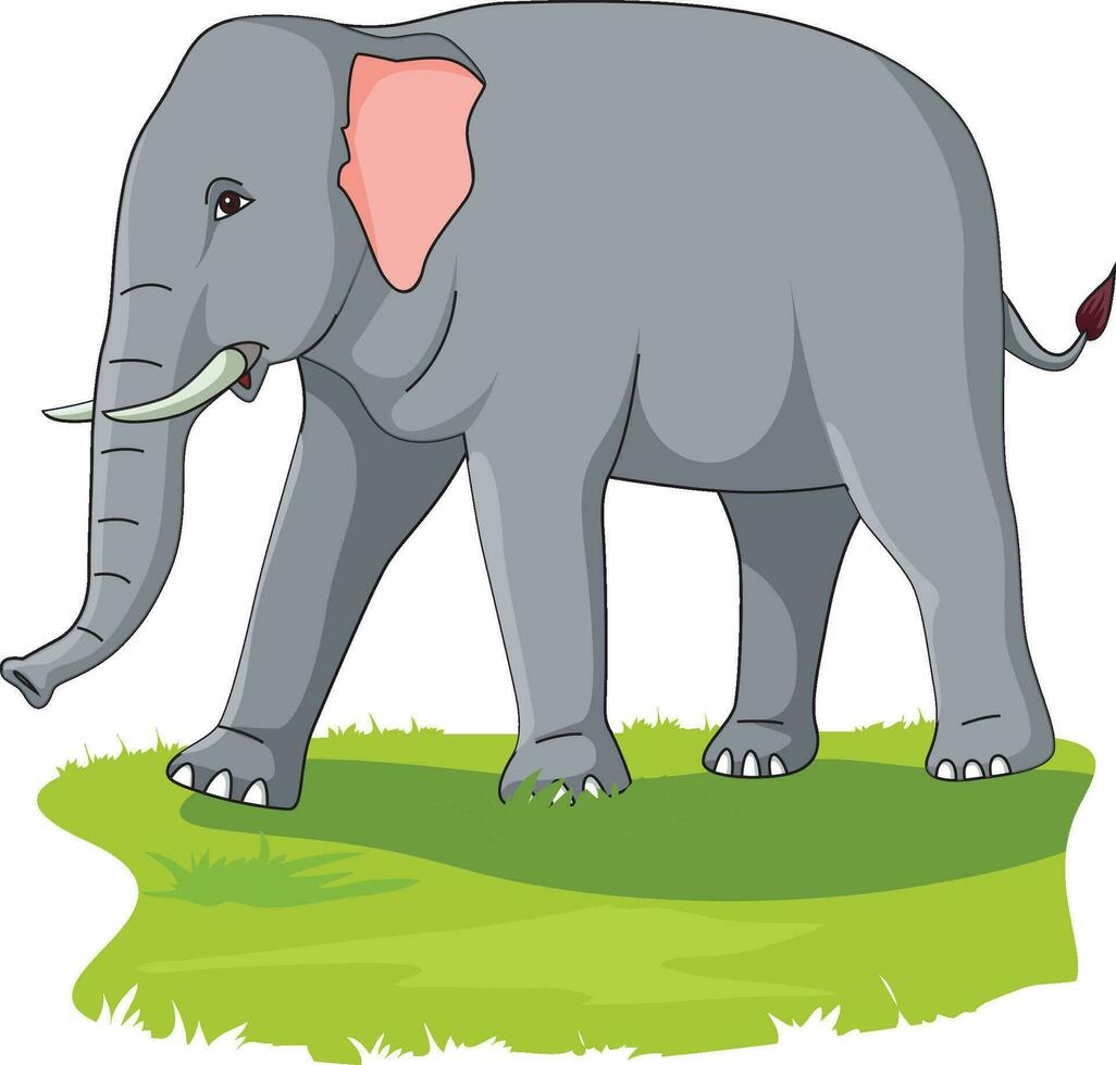 l'éléphant sur le herbe vecteur illustration