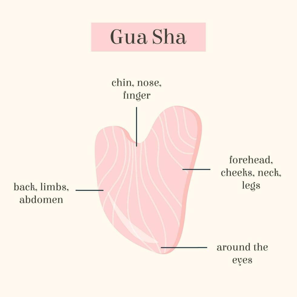 infographie de gua sha jade grattage massage outil usage. Naturel rose Rose quartz pierre grattoir. chinois traditionnel faciale levage pour femme. faciale points d'acupuncture. vecteur plat illustration.