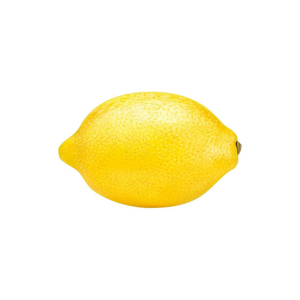 réaliste mûr Jaune citron entier agrumes fruit vecteur