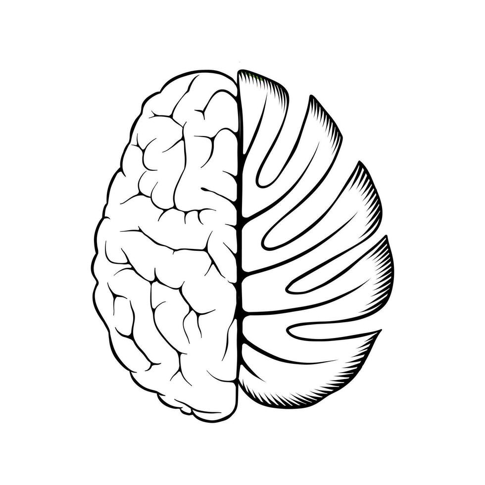 noir et blanc illustration de cerveau combiné avec feuilles vecteur