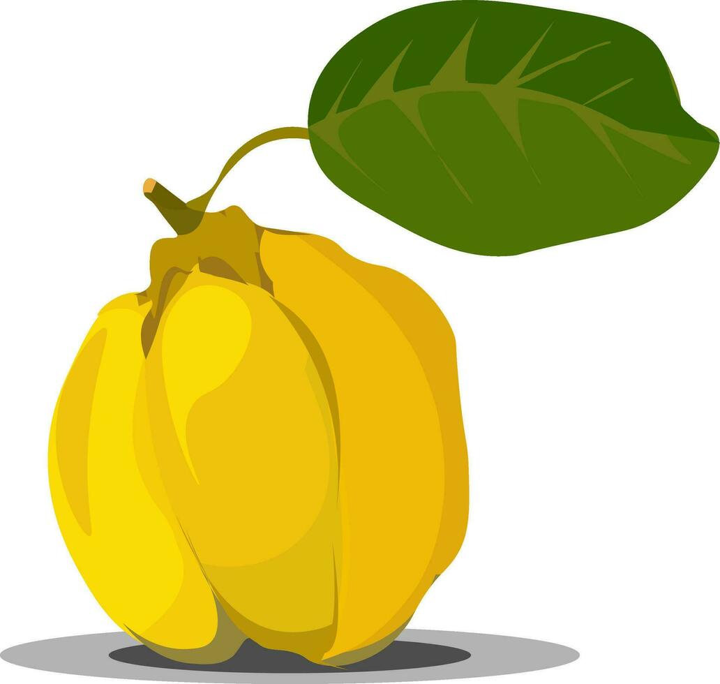 une Jaune fruit avec vert feuilles sur il vecteur