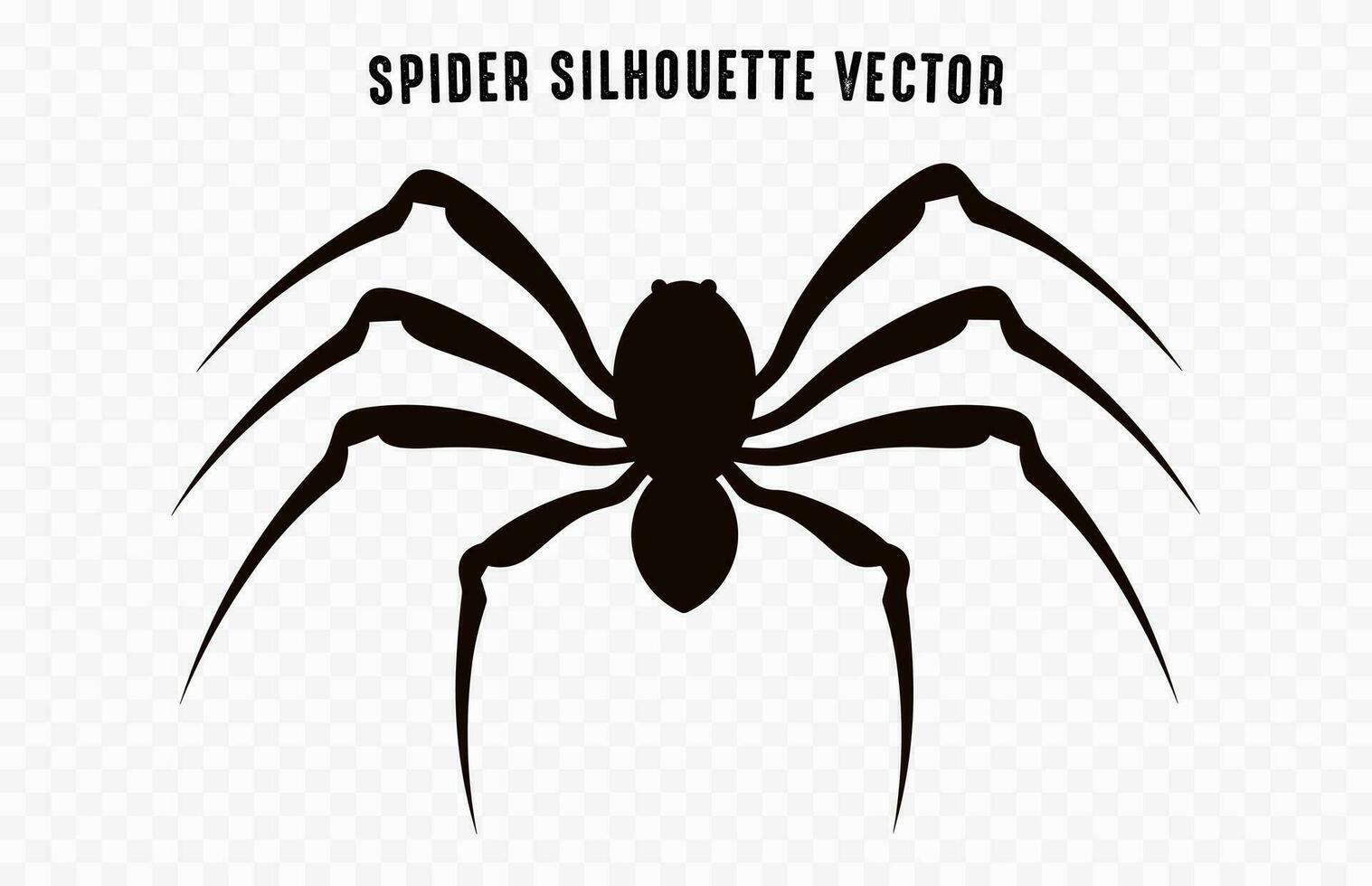 une araignée vecteur noir silhouette isolé sur une blanc Contexte