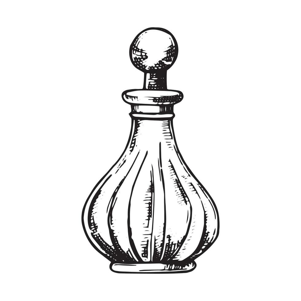 bouteilles avec parfum, vecteur dessin dans esquisser style. ancien