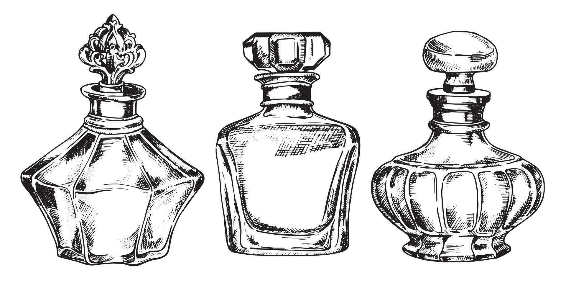 ensemble de bouteilles avec parfum, vecteur dessin dans esquisser style. ancien bouteilles