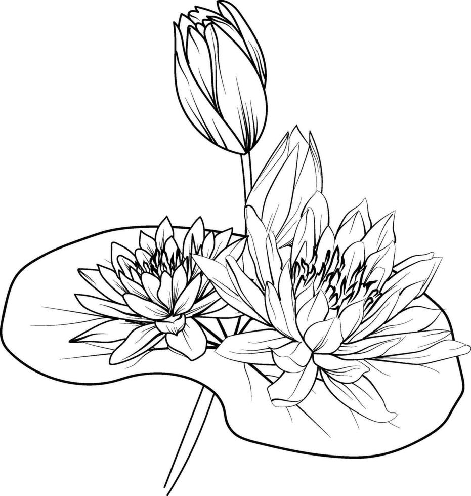 nénuphar fleur vecteur, éléments été collection, peinte à la main égyptien lotus fleur coloration pages, lotus vecteur esquisser, crayon art, ancien floral conception fleurs sauvages avec coloration livre pour adultes