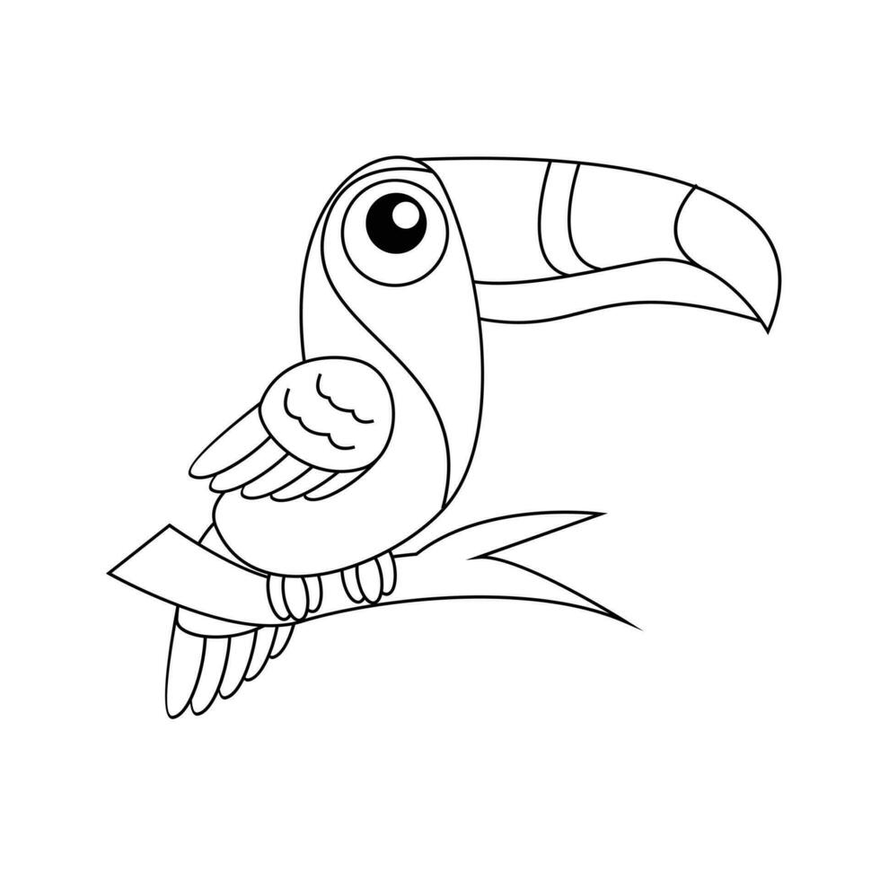 toucan oiseau dessin ligne mignonne noir blanc illustration vecteur