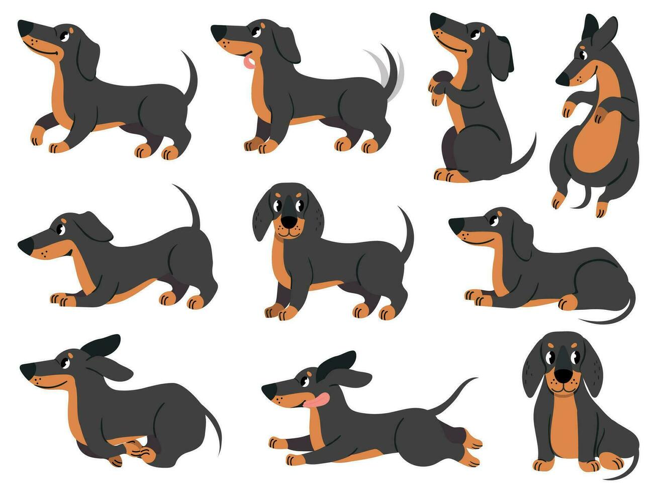 teckel. mignonne chiens personnages divers pose chasse race, conception pour impressions, textile ou carte, adorable teckel dessin animé vecteur ensemble