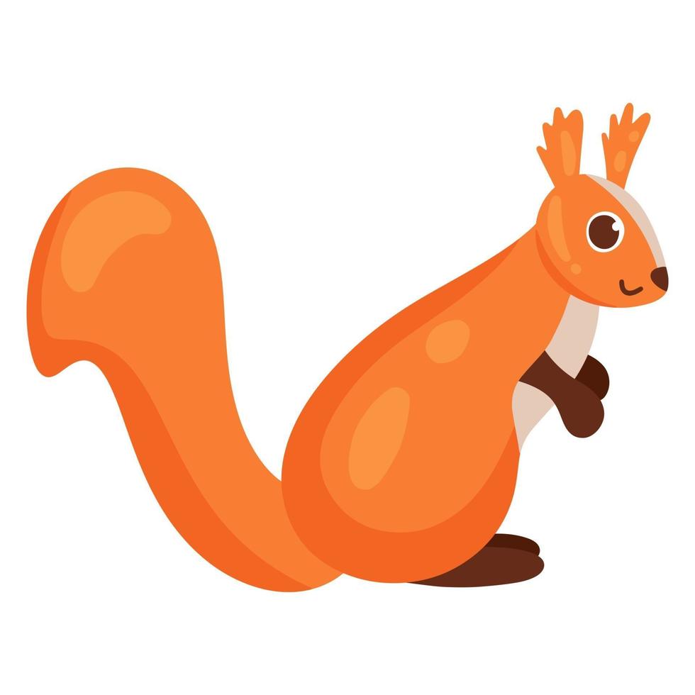 écureuil. animal de la forêt. style de dessin animé de vecteur. isolé sur fond blanc vecteur
