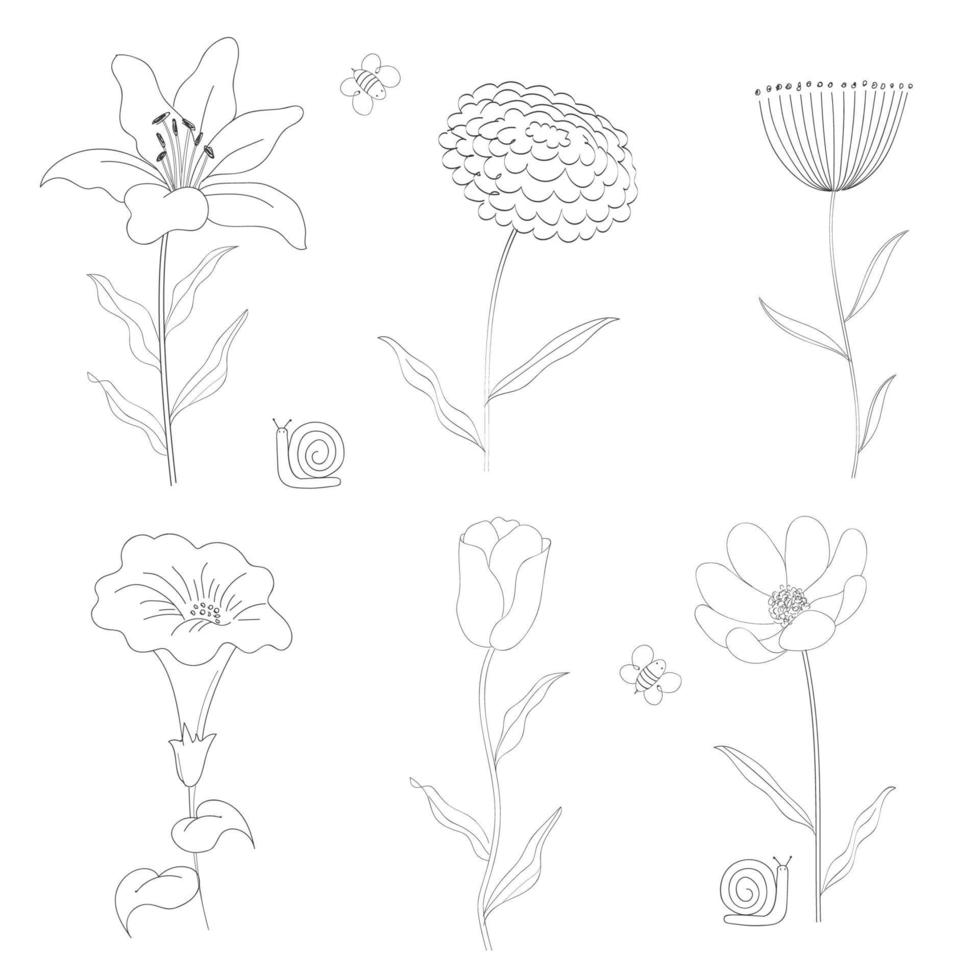 fleurs dessinées à la main de dessin au trait, collection d'insectes vecteur