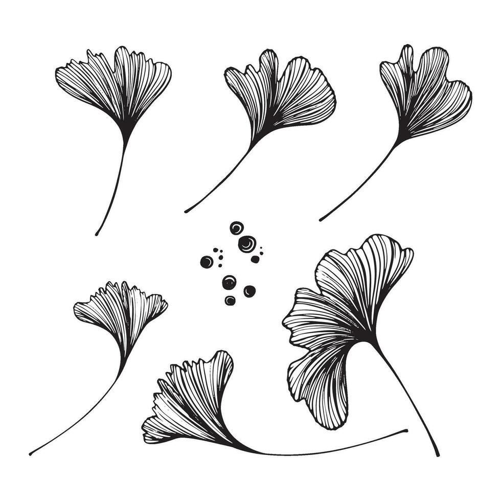 dessiné à la main vecteur Contexte de ginkgo biloba. fleurs pour conception.