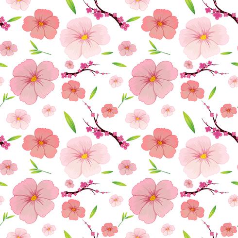 Fond transparent d&#39;hibiscus et de sakura rose vecteur
