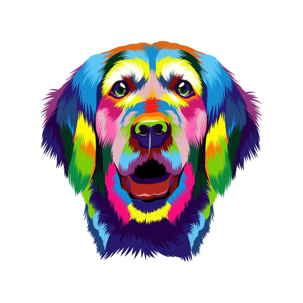 portrait de la tête d'un golden retriever de peintures multicolores. éclaboussure d'aquarelle, dessin coloré, réaliste. illustration vectorielle de peintures vecteur