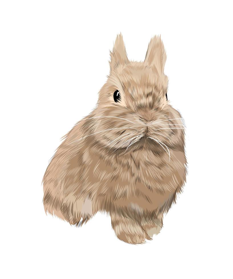 lièvre, lapin de peintures multicolores. éclaboussure d'aquarelle, dessin coloré, réaliste. illustration vectorielle de peintures vecteur