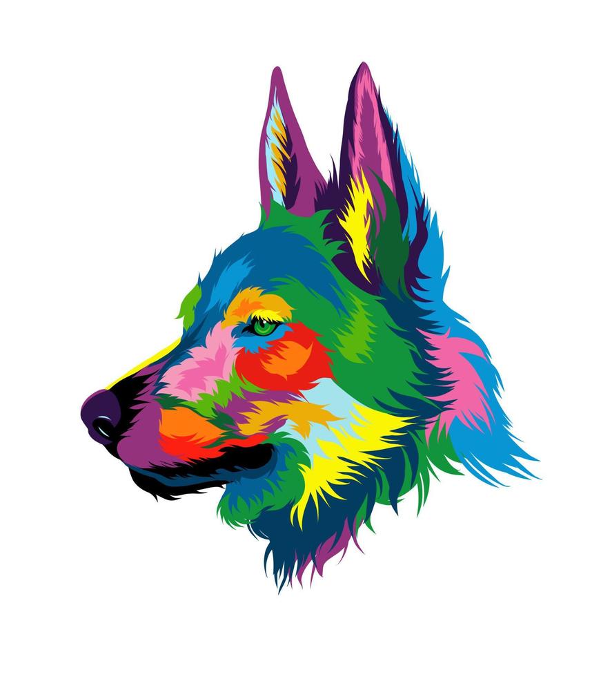 portrait de tête de loup de peintures multicolores. éclaboussure d'aquarelle, dessin coloré, réaliste. illustration vectorielle de peintures vecteur