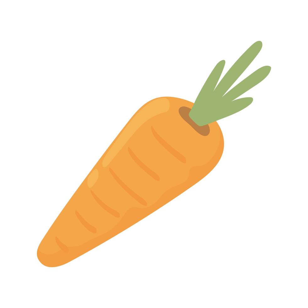 nourriture de carotte fraîche vecteur
