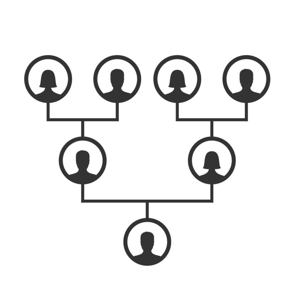 famille arbre, pedigree ou ascendance graphique modèle. famille généalogique arbre Icônes infographie avatars portraits dans circulaire cadres connecté par lignes. liens entre parents. lignée vecteur