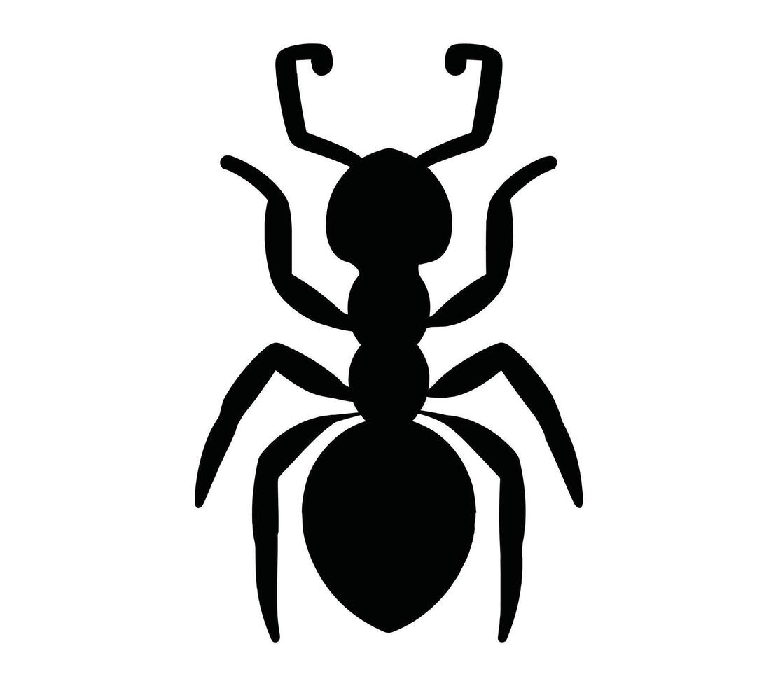acacia fourmi vecteur illustration sur blanc Contexte.