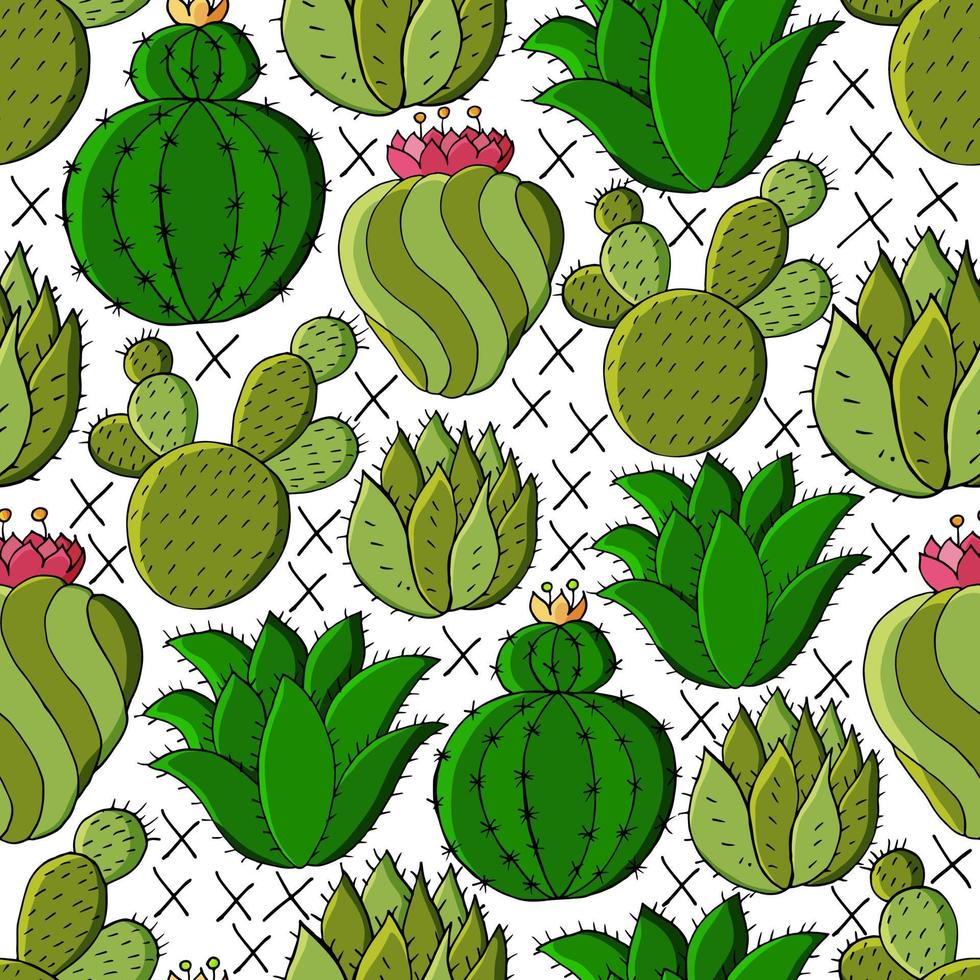 illustration vectorielle mignon. cactus, aloès, succulentes. éléments naturels décoratifs vecteur