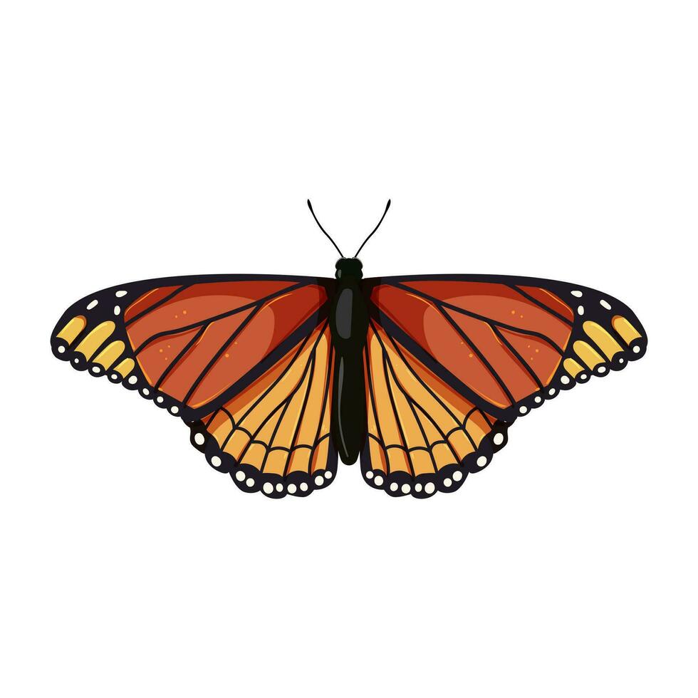 animal papillon dessin animé vecteur illustration