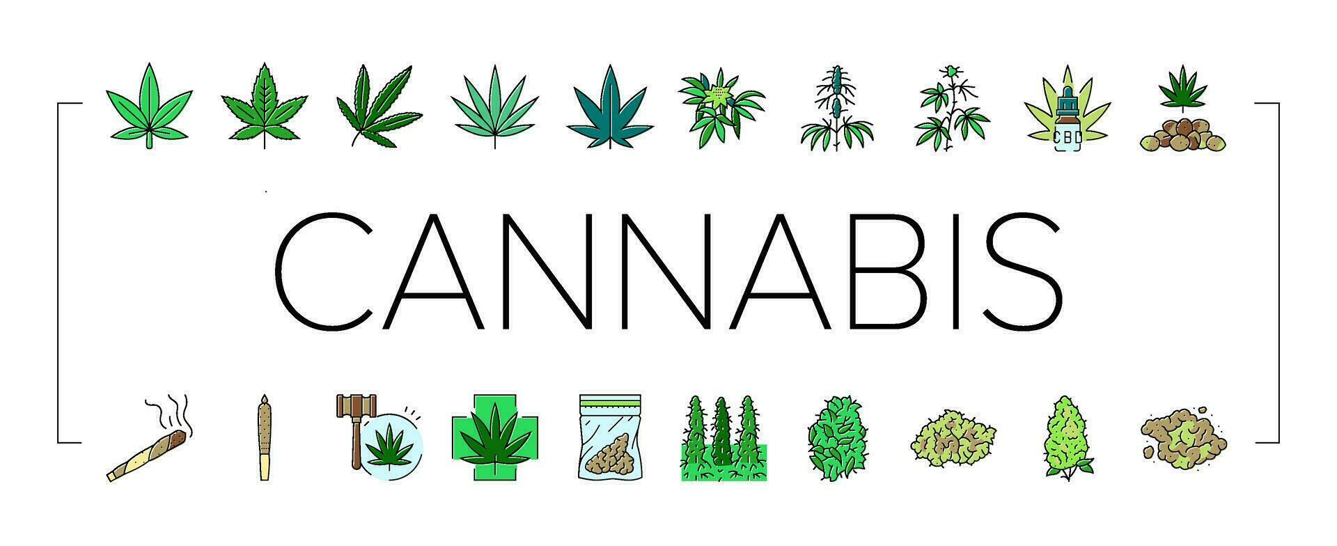 cannabis plante feuille cannabis chanvre Icônes ensemble vecteur