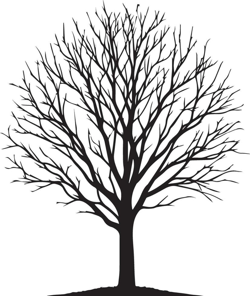 nu arbre vecteur silhouette noir Couleur