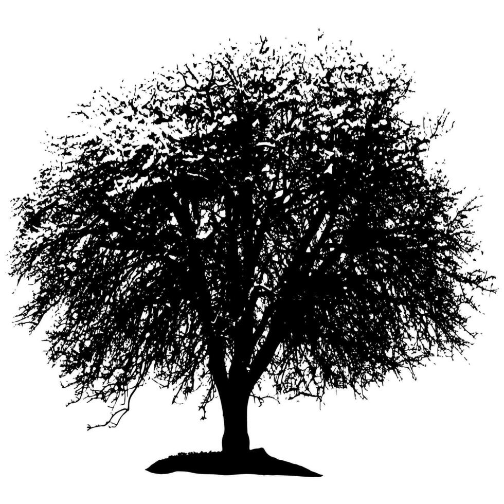 arbre silhouette sur une blanc Contexte. vecteur illustration de une arbre.