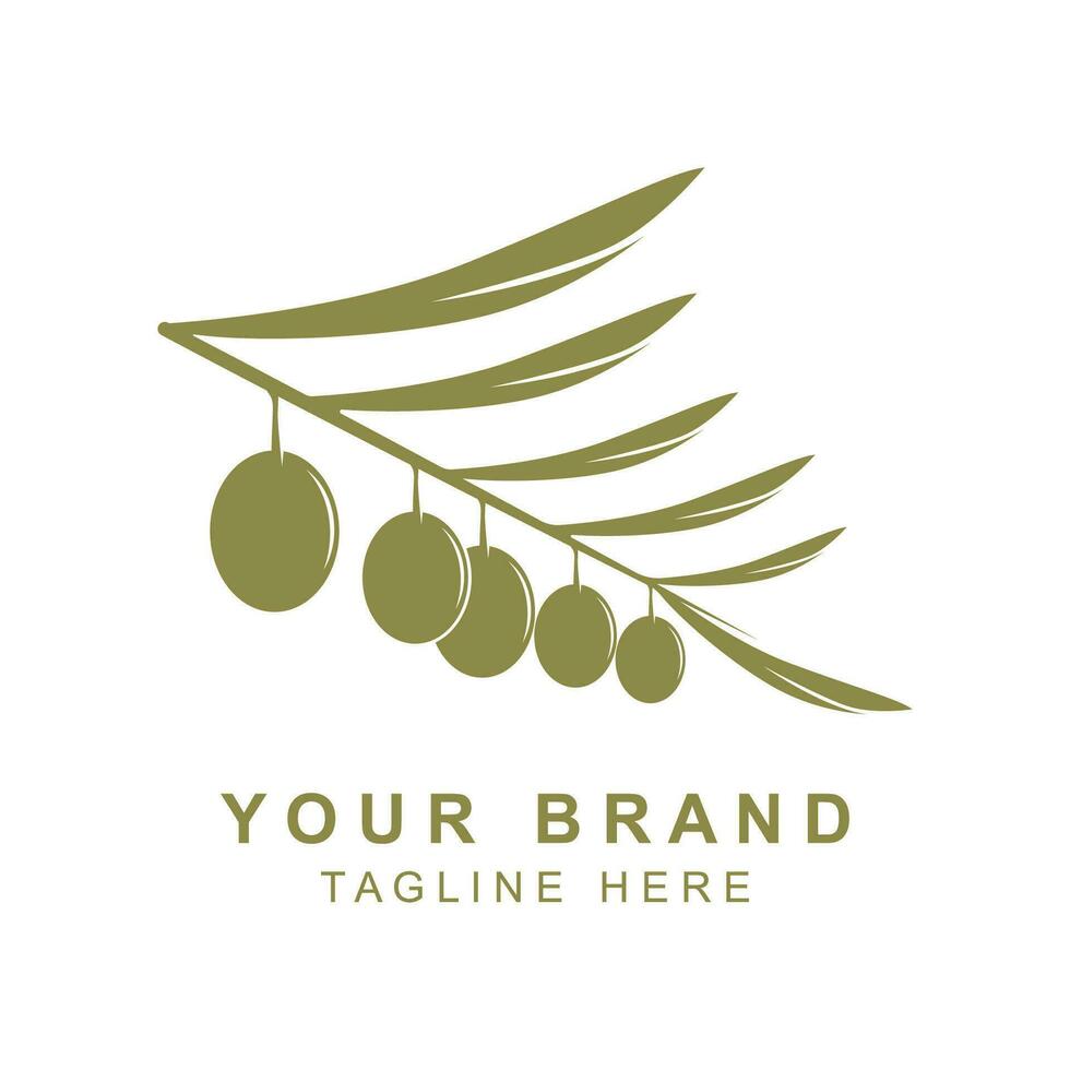 olive pétrole logo avec une combinaison de feuilles et fruit vecteur