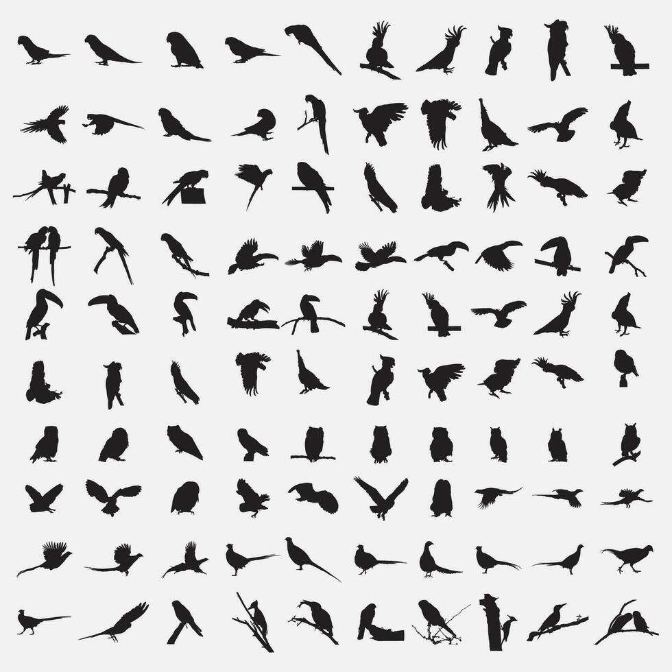 des oiseaux silhouette ensemble vecteur