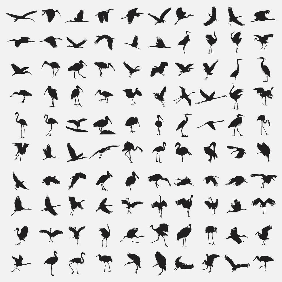 des oiseaux silhouette ensemble vecteur