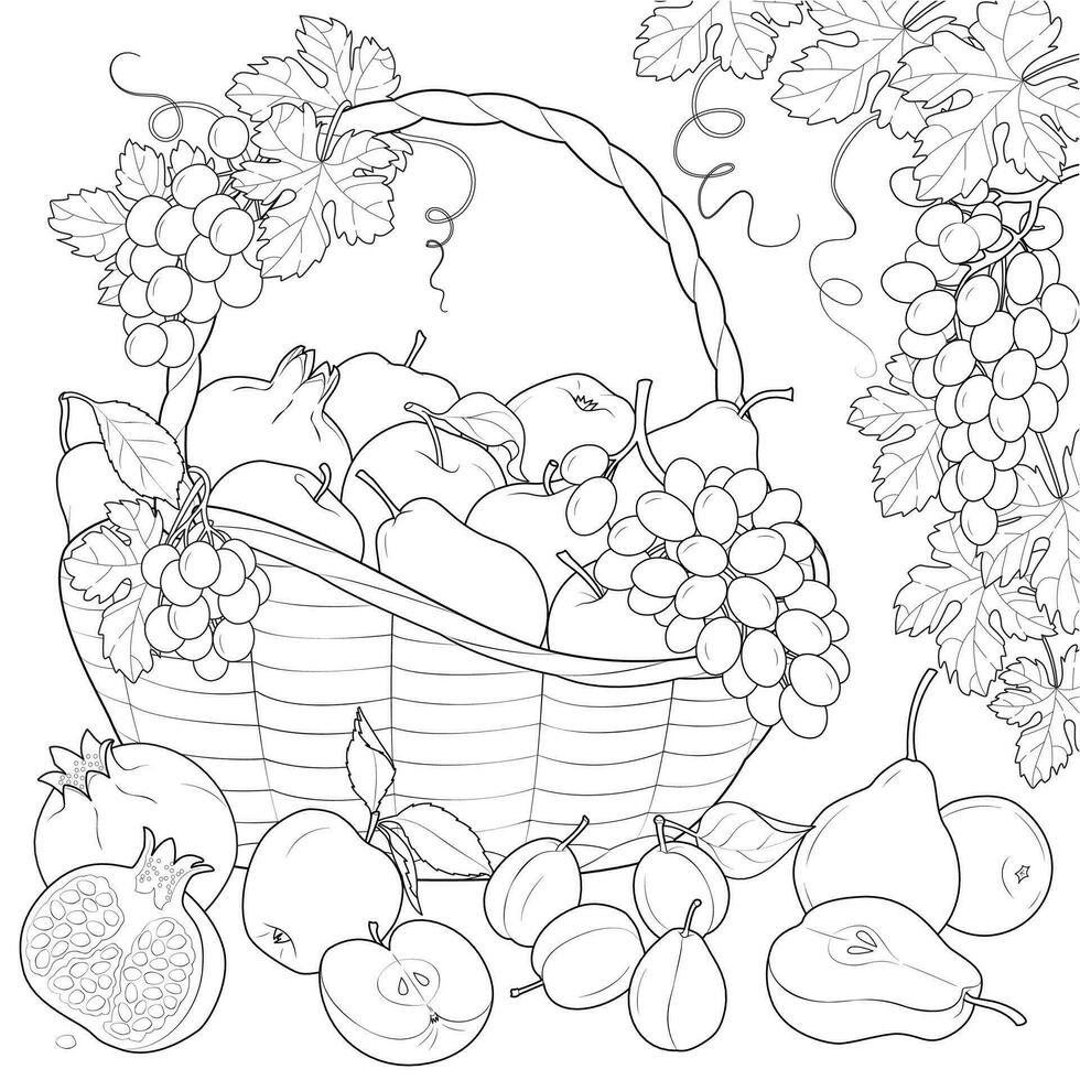mûr fruit dans une panier noir et blanc vecteur illustration