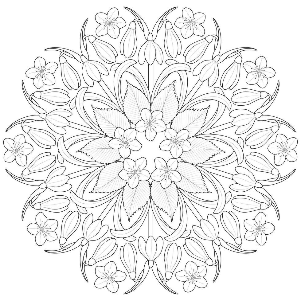 printemps fleur mandala dans noir et blanche. rond modèle pour coloration vecteur