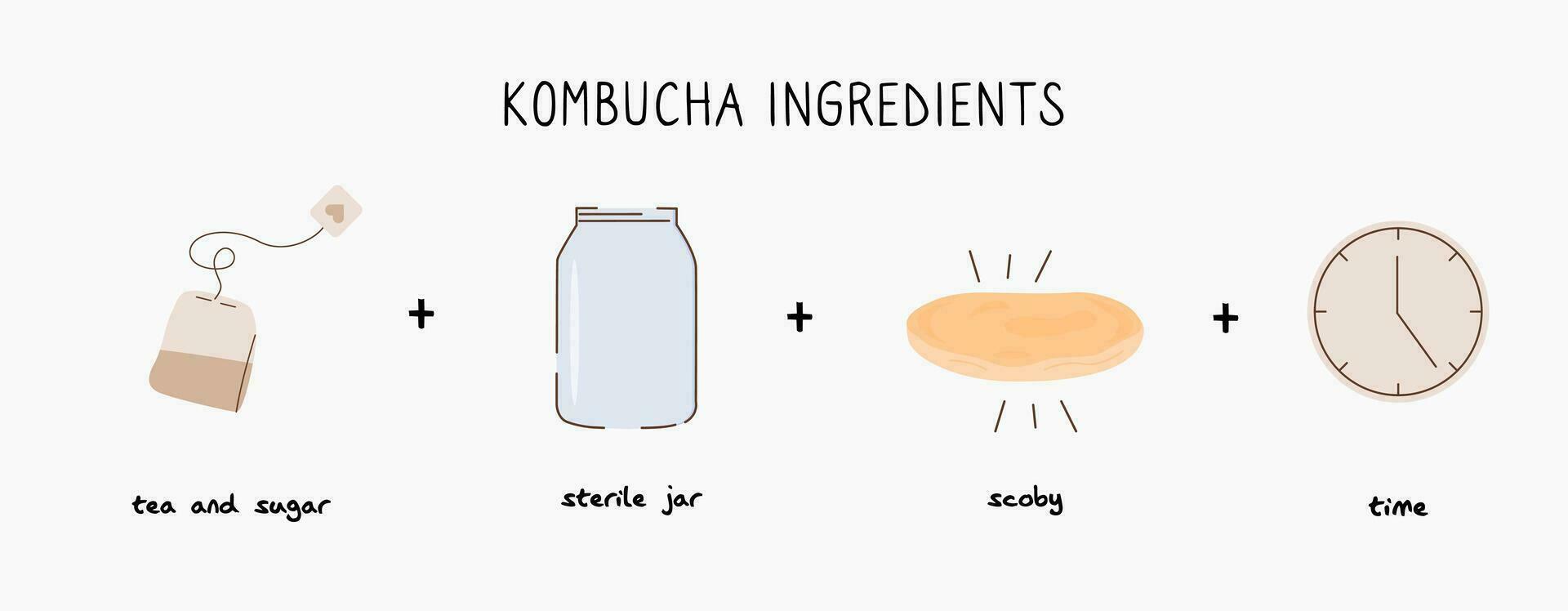 kombucha fermenté probiotique fait maison boisson guide. thé champignon brassage méthode avec Scoby. en bonne santé thé champignon boisson ingrédients. plat style main tiré vecteur illustration