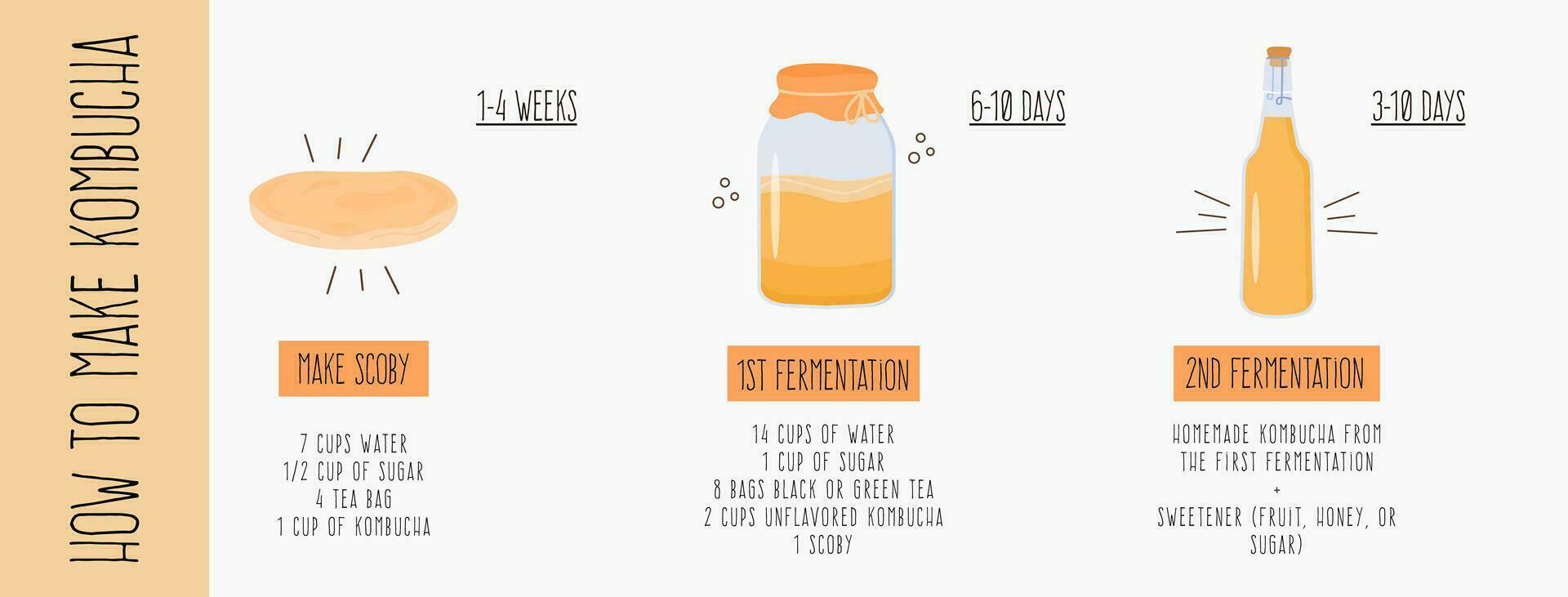 kombucha fermenté probiotique fait maison boisson guide. thé champignon brassage méthode avec Scoby. en bonne santé thé champignon boisson ingrédients. plat style main tiré vecteur illustration