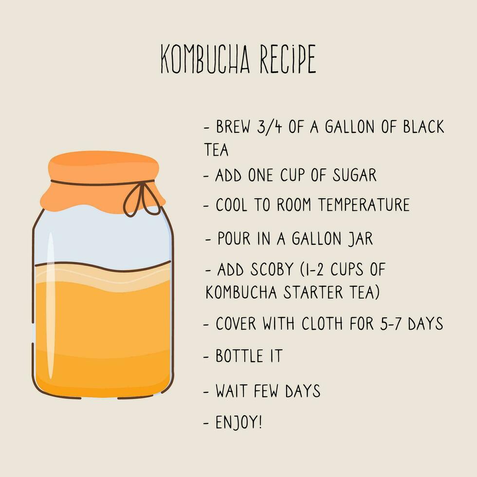 kombucha fermenté probiotique fait maison boisson guide. thé champignon brassage méthode avec Scoby. en bonne santé thé champignon boisson ingrédients. plat style main tiré vecteur illustration