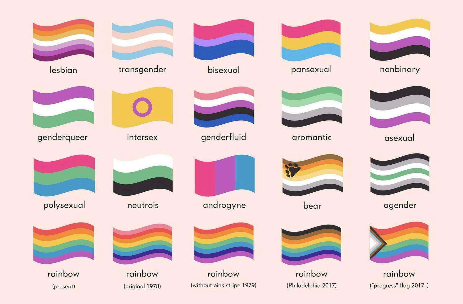 sexuel identité fierté drapeaux. ensemble de lgbt symboles. infographie de sexuel diversité. le sexe drapeau. gay, transgenres, bisexuel, asexué, non binaire. collection de fierté parade Icônes. vecteur illustration.