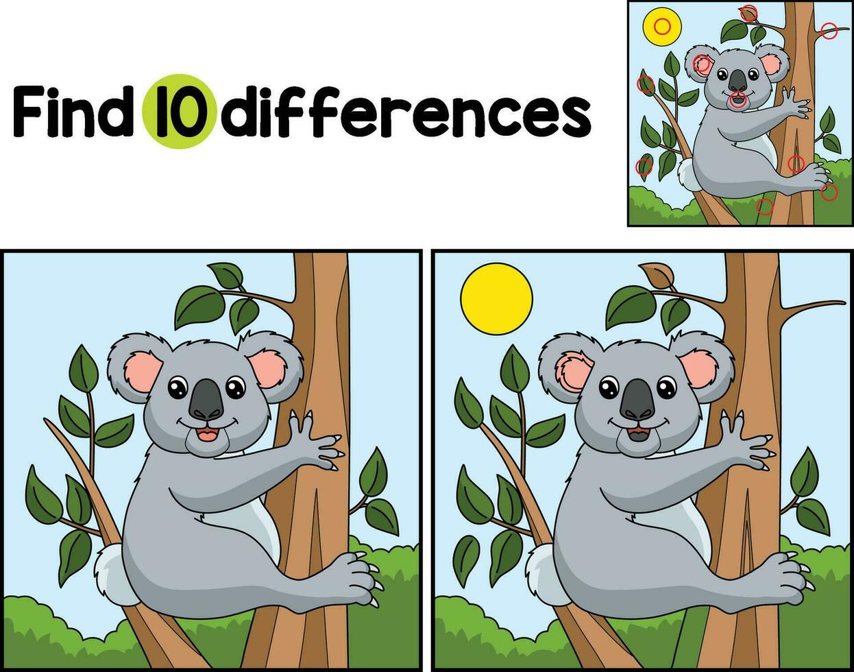 koala animal trouver le différences vecteur