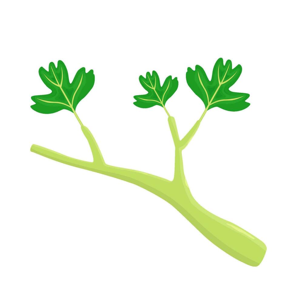 feuille plante vert illustration vecteur