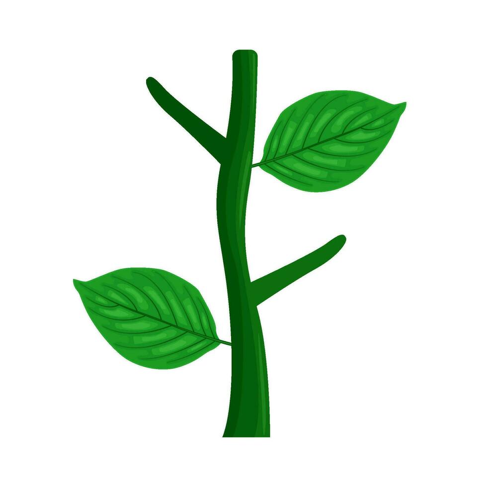 feuille plante vert illustration vecteur