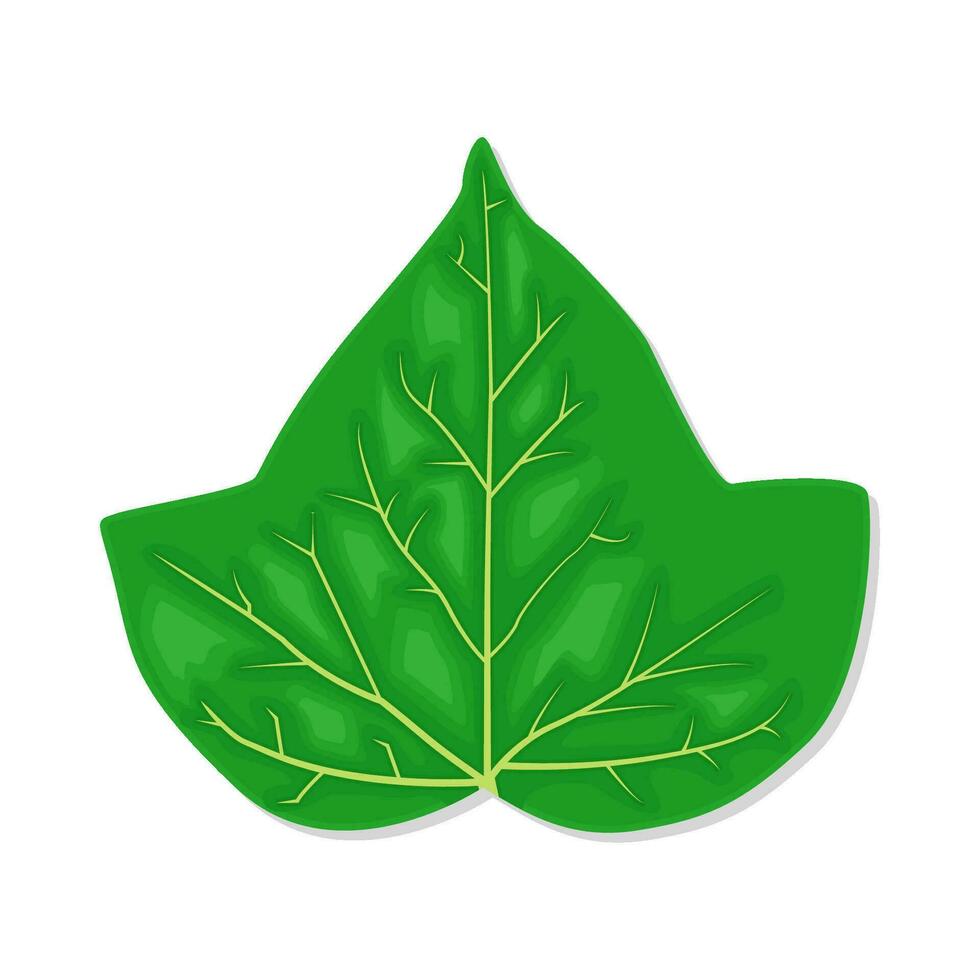 feuille vert illustration vecteur