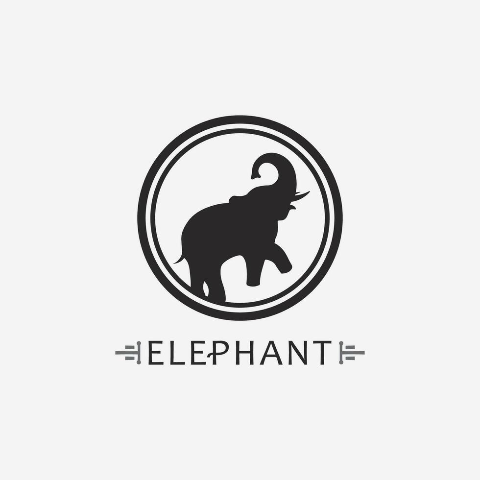 modèle de conception d'illustrateur de vecteur de logo d'éléphant