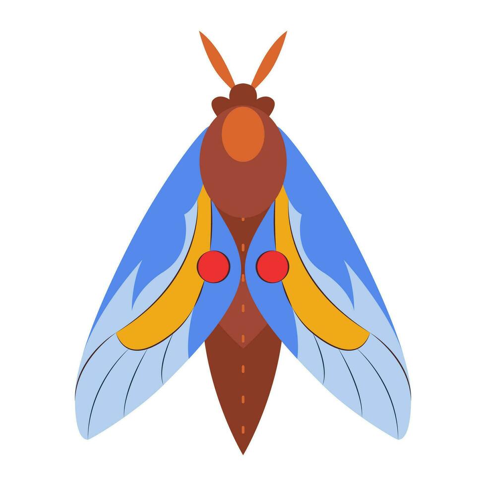 coloré papillon icône logo isolé. magnifique papillon illustration vecteur