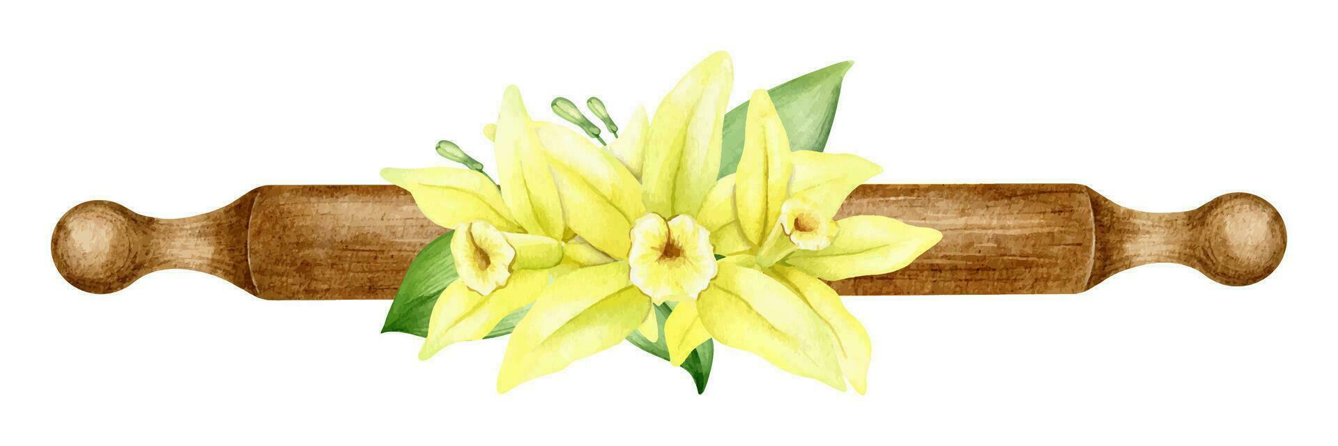 en bois roulant épingle avec Jaune vanille fleurs. cuisine ustensiles. aquarelle illustration. isolé. conception élément pour livre de recettes, menus, recette, nourriture étiqueter, emballage vecteur