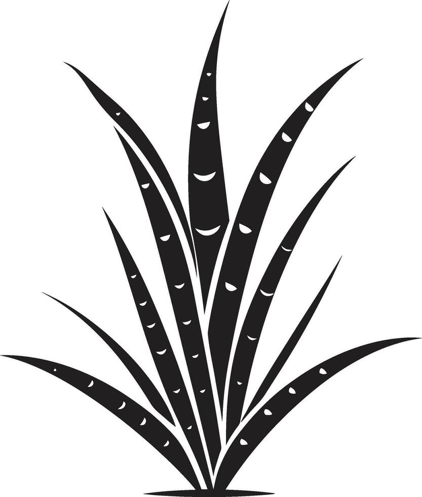 biologique sérénité aloès noir emblème la nature s lueur vecteur aloès Vera icône