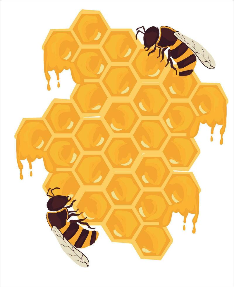 nid d'abeille et abeille vecteur illustration